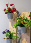 Gallery thumb 7