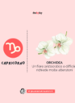 Gallery thumb 11