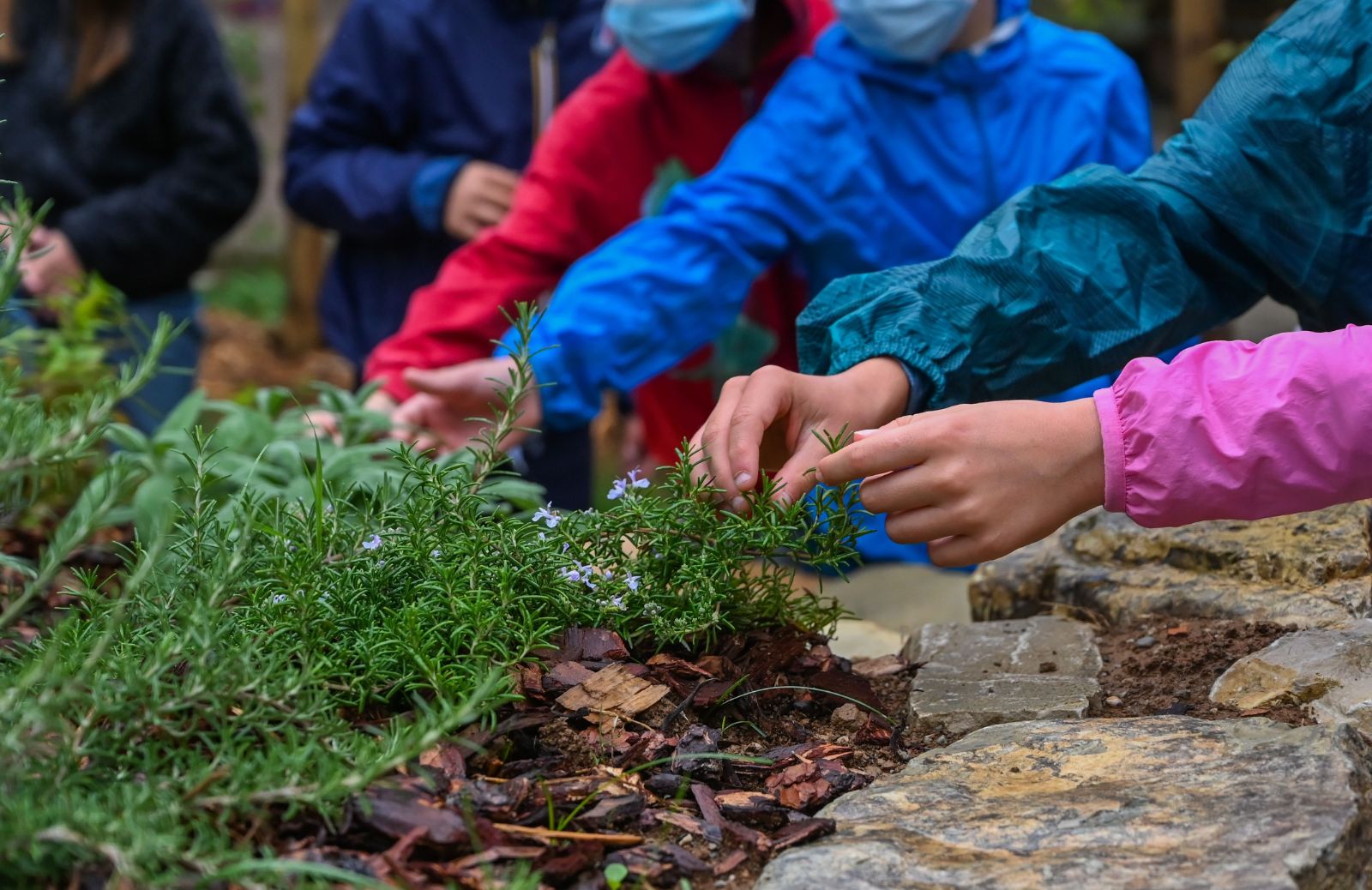 Aule natura WWF, un progetto per portare nelle scuole il verde che manca