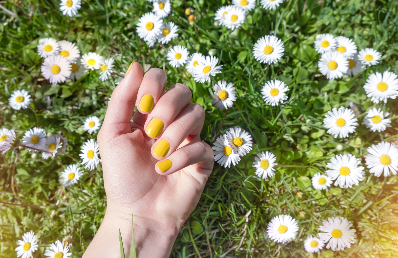 Unghie primavera 2026: i colori e le idee più belle