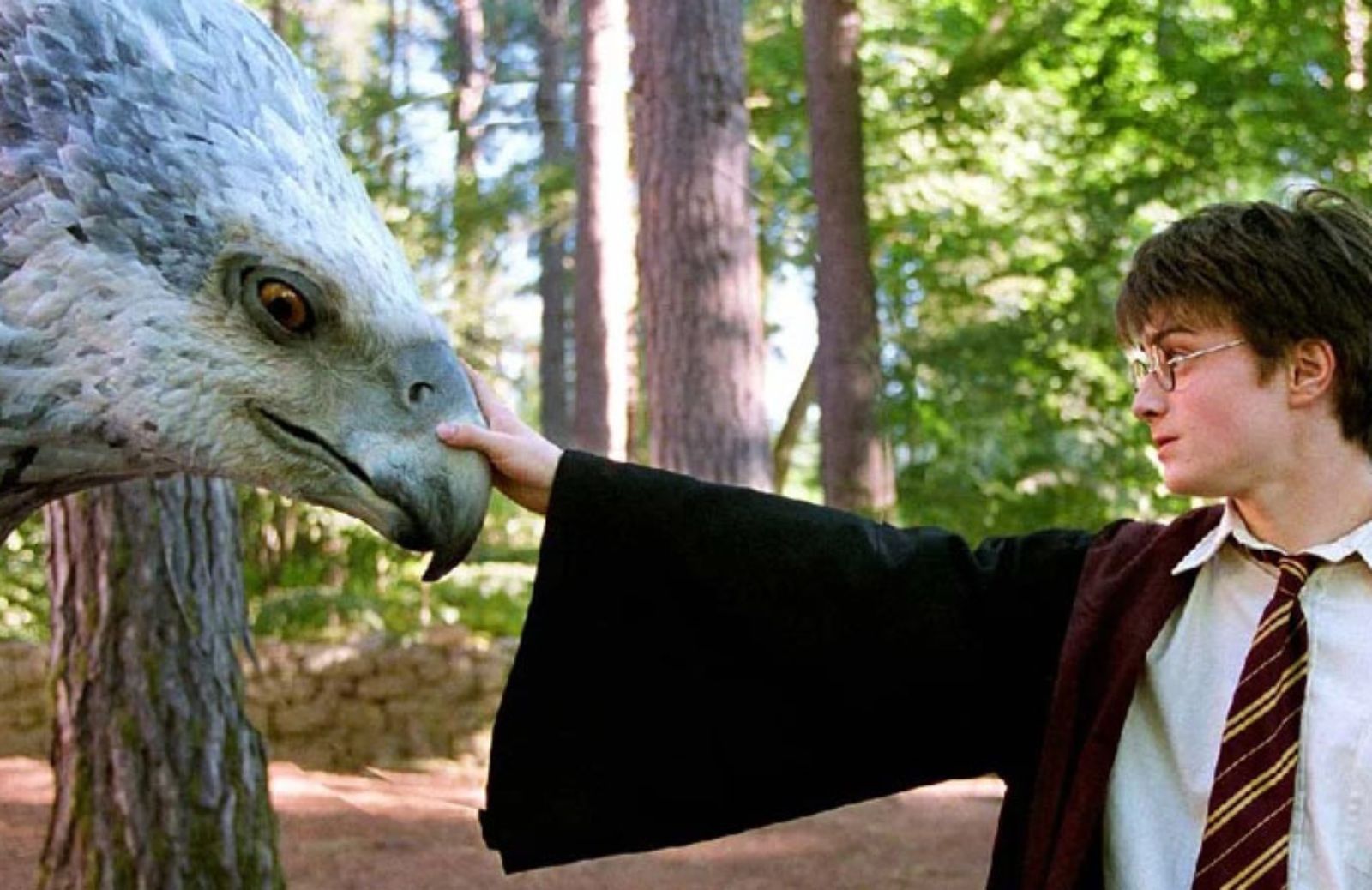 5 fanta-animali della saga di Harry Potter