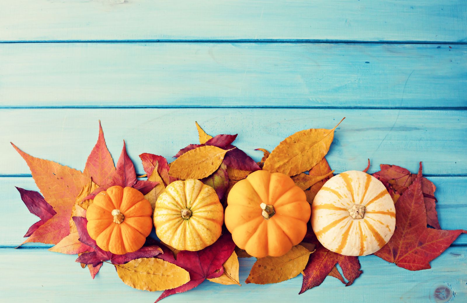 Come utilizzare la zucca per la festa di Halloween