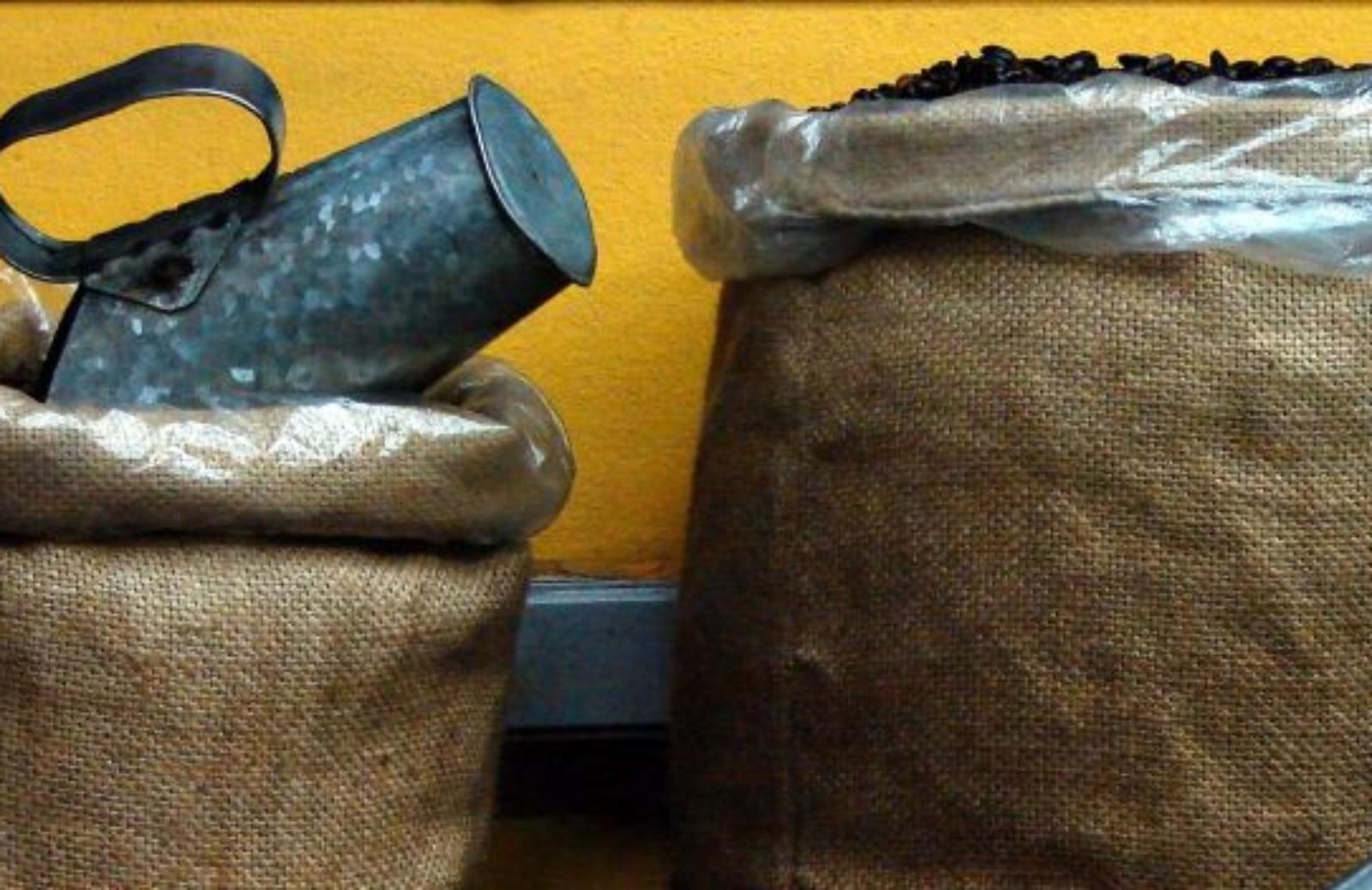 Come fare la spesa con i prodotti alla spina