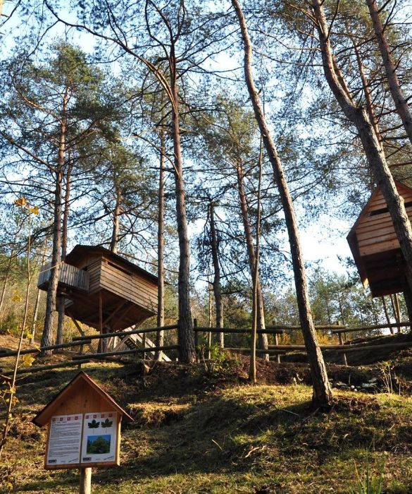 <p>Non una casa, ma un vero villaggio di case sull&rsquo;albero. Nel <strong>Parco Naturale delle Dolomiti Friulane</strong>, nel comune di Claut, si trova, infatti, il villaggio di casette sugli alberi pi&ugrave; grande del mondo. Qui le casette in legno d&rsquo;abete, una dopo l&rsquo;altra formano un paesaggio davvero unico. Il Tree Village &egrave; situato all'interno di un parco tematico in cui ci sono tutta una serie di opportunit&agrave; di scoperta come l'Orto Biologico, il Museo all'aria aperta del Boscaiolo, il Sentiero Botanico e il Training Center di Nordic Walking, oltre a corsi di costruzione di case sull&rsquo;albero.</p>
