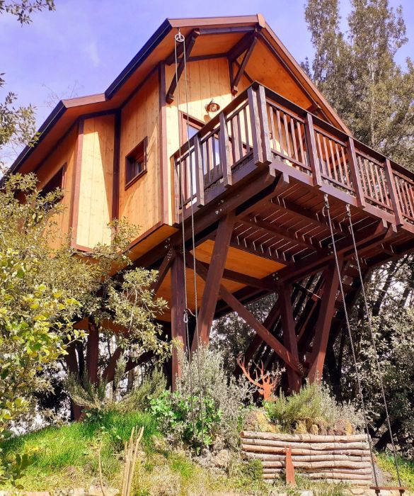 <p>Situata all'interno di un giardino di 8000 mq di una Casa Vacanze, l'Awen Tree House &egrave; una casetta di legno di 20mq rialzata da terra circa tre metri. La&nbsp;terrazza si affaccia a circa cinque metri sul laghetto che fa da richiamo di alcune specie di fauna e avifauna selvatica anche protetta. Costruita in legno FSC e secondo le tecniche della bioedilizia, ha l'isolante termoacustico in fibra di canapa: leggero, totalmente riciclabile e biodegradabile e soprattutto &ldquo;carbon negative&ldquo;.&nbsp;</p>
