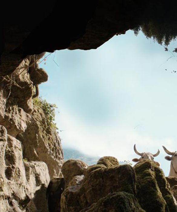 <p>Il buco (diretto da Michelangelo Frammartino) racconta la missione di un gruppo di giovani speleologi che, nell&rsquo;agosto del 1961, nell&rsquo;altopiano del Pollino scopr&igrave; l&rsquo;Abisso del Bifurto, una delle grotte pi&ugrave; profonde al mondo situata a 700 metri di profondit&agrave;.</p>
