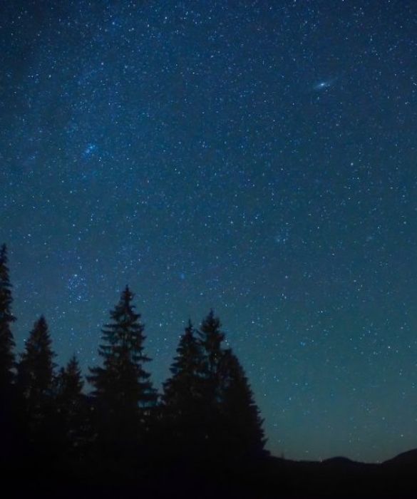 <p>&Egrave; giunto il tempo di riaccendere le stelle (Guillame Apollinaire)</p>
