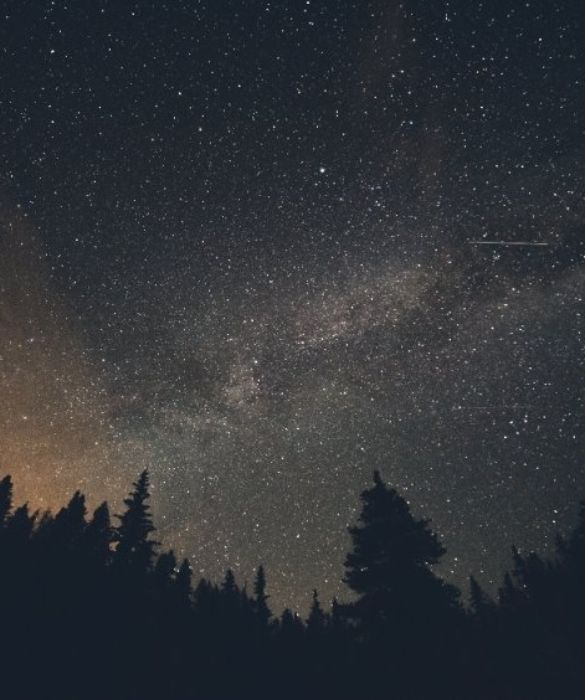 <p>Quando non sarai pi&ugrave; parte di me, ritaglier&ograve; dal tuo ricordo tante piccole stelle, allora il cielo sar&agrave; cos&igrave; bello che tutto il mondo si innamorer&agrave; della notte.&nbsp;(William Shakespeare)</p>
