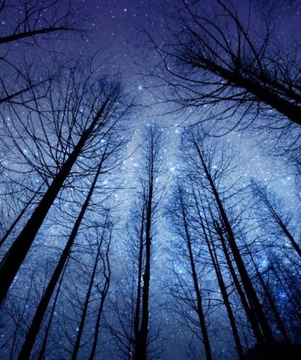 <p>Mi domando se le stelle sono illuminate perch&eacute; ognuno possa un giorno trovare la sua (Antoine de Saint-Exup&eacute;ry)</p>
