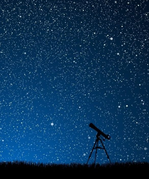 <p>Quando miro in ciel arder le stelle / dico fra me pensando: a che tante facelle? /&nbsp;... ed io che sono?&nbsp;(Giacomo Leopardi)</p>
