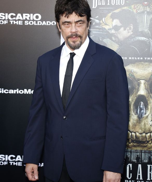 <p>Se parliamo di occhiaie, Benicio Del Toro non &egrave; secondo a nessuno a Hollywood. E poi c&rsquo;&egrave; quella palpebra cadente, che gli rende lo sguardo pi&ugrave; stanco, scuro, incupito. Cose che normalmente sarebbero negative e che invece rendono l&rsquo;attore portoricano terribilmente sexy.</p>
