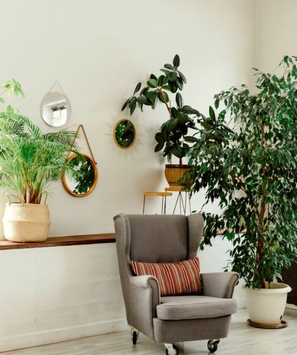 <p>Angolo relax green.<strong> Se la vostra idea di arredare con fiori e piante&nbsp;&egrave; letterale, dovrete immaginare un <em>fil rouge</em> tra le varie stanze</strong>. Ad esempio, all&rsquo;ingresso di casa meglio inserire i grandi vasi di design, piante che abbiano poco bisogno di luce, mentre per arredare il soggiorno &egrave; meglio scegliere piante alte e slanciate. Una poltrona di design posta accanto a due piante rigogliose non &egrave; forse la declinazione giusta del relax?</p>
