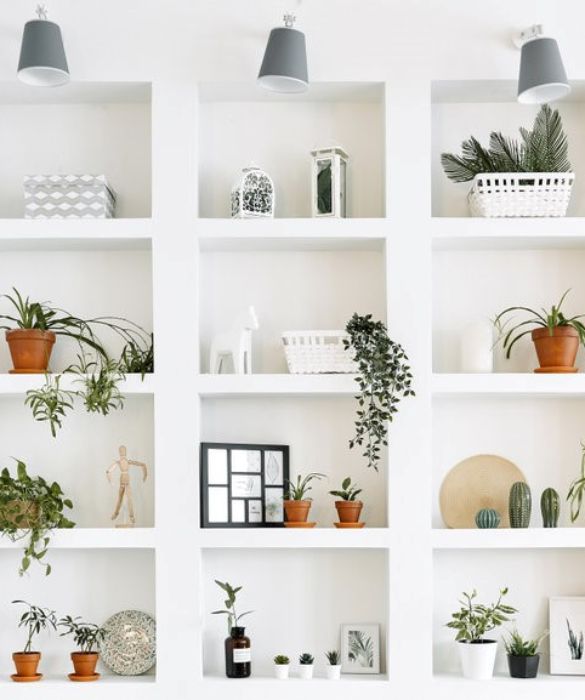 <p>Una parete di piante. <strong>E se invece della solita pareta bianca o neutra, un lato del soggiorno o dell'ingresso si trasformasse in un muro verde?</strong> Basta seguire la creativit&agrave; e non aver paura di osare. Fiori finti incollati al muro, in ordine sparso, o a creare una piccola girandola, oppure una vera e propria scaffalatura trasformata in porta piante. Con macchie di verde con&nbsp;piante eleganti e vere e proprie piante da arredo.&nbsp;</p>
