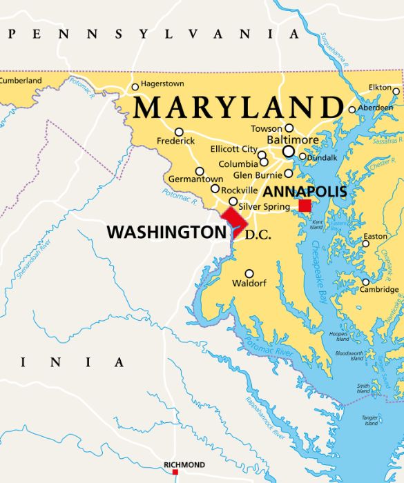 <p>Teoria del complotto nata &ldquo;in risposta&rdquo; a quella precedente, suggerita direttamente da Pechino: il virus sarebbe nato nel laboratorio di Fort Detrick, Maryland. A sua volta, ma questa voce chiss&agrave; chi l&rsquo;ha messa in giro, sarebbe stato diffuso in Cina dagli Stati Uniti, attraverso l&rsquo;uso di aerei stealth.</p>
