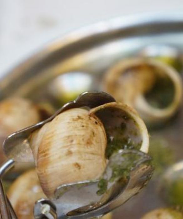 <p>Questi simpatici e viscidi animaletti non si mangiano solo in Francia, dove le escargot sono un piatto prelibato. Si gustano, infatti, anche in alcune regioni del nord Italia, oltre che nel Lazio e in Umbria. Sono molti i ristoranti, anche stellati, che le vedono nei propri men&ugrave;. Tra le ricette pi&ugrave; popolari ci sono quelle in umido.</p>
