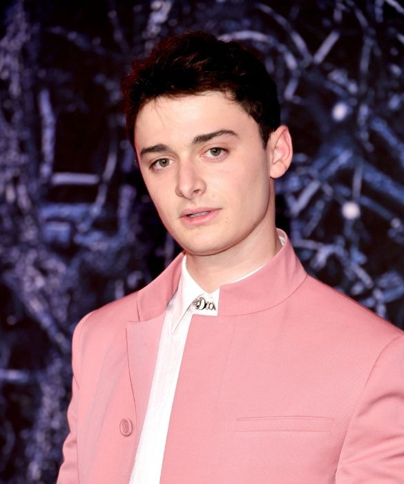 <p>Dopo Stranger Things, Noah Schnapp ha recitato in <em>Abe</em>, <em>Aspettando Anya</em> e <em>Hubie Halloween</em>. Ma &egrave; anche imprenditore: ha creato&nbsp;il brand "To Be Honest", con cui ha lanciato una crema di nocciole vegana e senza <a href=