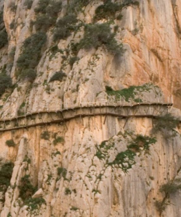 <p>L&rsquo;Andalusia ha tantissimo da offrire, da Siviglia a Granada, fino a Cordoba e Malaga. A una cinquantina di chilometri dalla citt&agrave; pi&ugrave; famosa della Costa del Sol c&rsquo;&egrave; il Caminito del Rey, una stretta (1 metro) e lunga passerella di 3 km sospesa a 100 metri dal suolo lungo le pareti del canale chiamato Desfiladero de los Gaitanes.</p>
