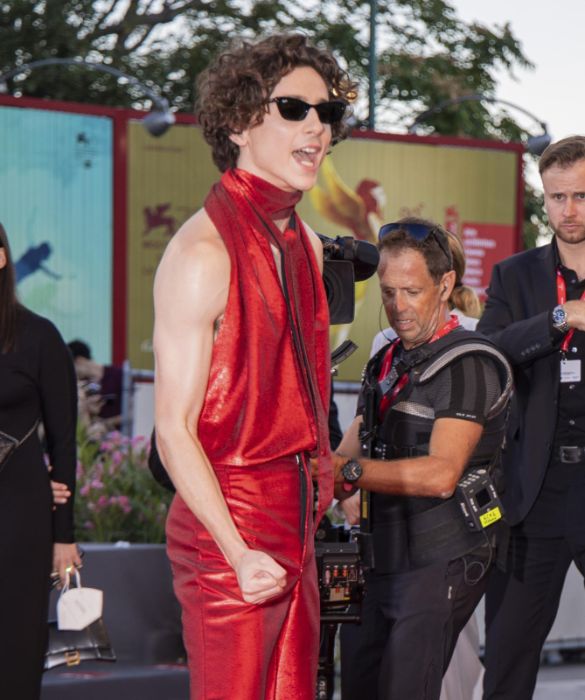 <p>Va in scena l&rsquo;<strong>eleganza in bianco e nero</strong>, con pennellate di rosso fuoco e verde smeraldo. Di <strong>Venezia 79 </strong>ricorderemo lo scalpore che la nudit&agrave; maschile (s&igrave;, ovviamente stiamo parlando di Timoth&eacute;e Chalamet) suscita quando prende in prestito qualche topos della moda femminile. God bless il red carpet del Festival di Venezia, la passerella dove il cinema &egrave; il nobile pretesto per vedere le celebrities del grande schermo (e non solo) indossare abiti da sogno. Rifacciamoci gli occhi con i <strong>9 look</strong> che abbiamo apprezzato di pi&ugrave;.</p>
