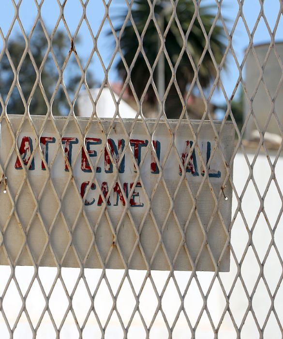 <p>Ti sei mai chiesta da dove nasce la consuetudine di appendere il cartello &ldquo;Attenti al cane&rdquo; fuori dalla porta o dal cancello? Secondo le ricerche, sembra proprio che quest&rsquo;abitudine era gi&agrave; molto diffusa nell&rsquo;Antica Roma, quando i cittadini esponevano una sorta di cartello fuori dalla porta a mo&rsquo; di tappetino.</p>
