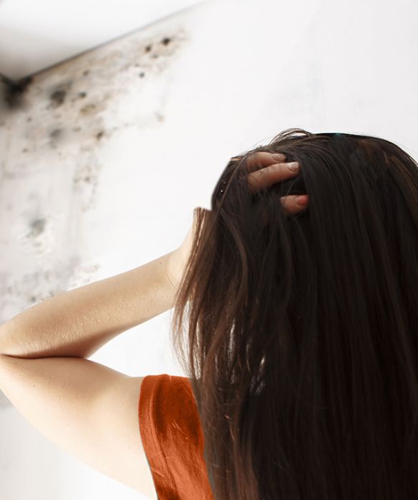 <p>Di per s&eacute; la muffa pu&ograve; comparire in ogni momento dell&rsquo;anno, ma &egrave; pi&ugrave; frequente che si accumuli negli spazi chiusi durante le stagioni pi&ugrave; calde e umide, favorendo disturbi respiratori nelle persone predisposte.&nbsp;</p>
