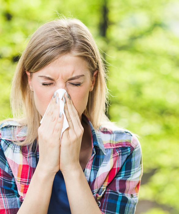 <p>Sembra quasi scontato dire che le allergie primaverili sono scatenate dai pollini: s&igrave;, ma quali? Sono numerose le piante che possono provocare rinite o congiuntivite allergica nei soggetti allergici. Conosciamole meglio!</p>
