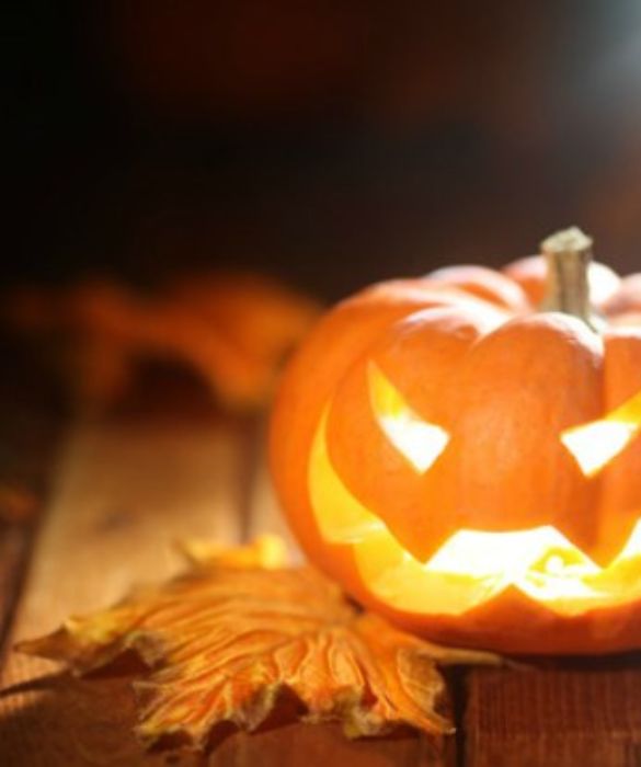 L'ortaggio tipico dell'autunno abbinato ad una semplice candela rende la Jack lanterna una delle
decorazioni più diffuse per questa festa: basta avere tanta creatività e pazienza per svuotare e
intagliare la zucca e lo spavento è assicurato!