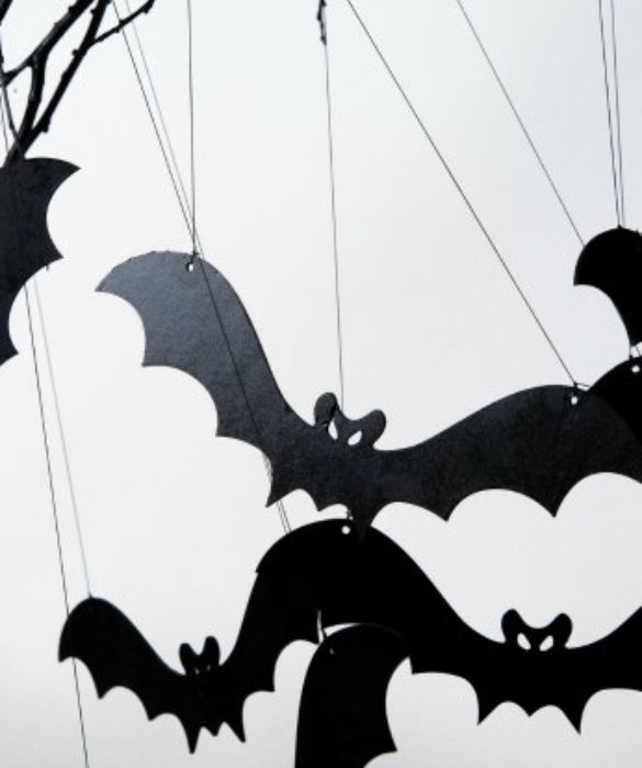 Un'altro simbolo di questa festa è il pipistrello! In quanto animale della notte e di color nero si addice bene
per decorare le nostre abitazioni sia all'esterno che all'interno. Con un cartoncino nero e uno spago potremmo trasformare la nostra casa in una vera e propria caverna spettrale!
