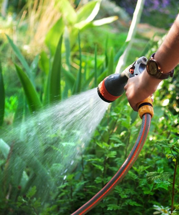 Tutte le piante hanno bisogno di acqua, alcune di più, altre meno.
Sia che si tratti di piante da appartamento che da giardino è necessario di tanto in tanto bagnarle. Se non avete tempo o siete poco costanti, affidatevi ad un impianto di irrigazione automatico.