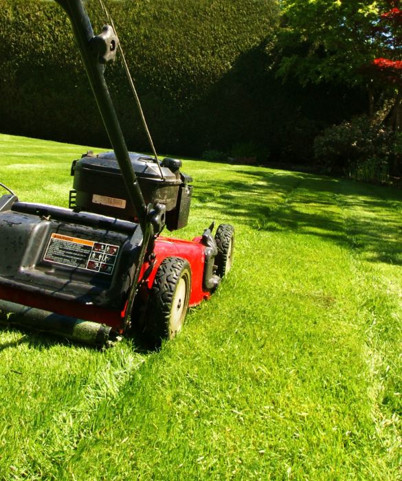 I giardini, soprattutto quelli grandi, per essere sfruttati al meglio devono essere sempre ben curati. Bisogna tagliare l'erba spesso soprattutto per eliminare le piante selvatiche. Esistono tagliaerba molto potenti e leggeri per tutte le esigenze. Se non avete tempo e voglia, però, optate per tappeti fatti di erba già pronti che non richiedono alcuna cura se non l'acqua.