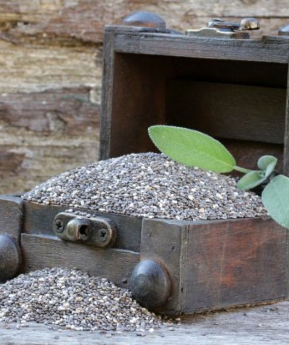 Sono un Superfood che veniva già utilizzato nelle civiltà precolombiane proprio per le sue proprietà benefiche ed esse sono davvero molteplici. Oltre ad essere una fonte di calcio, omega3 e omega6, sono utili per coloro che soffrono di pressione alta ed eseguono un'azione di diminuzione dell'assorbimento degli zuccheri controllando quindi l'aumento del peso.
