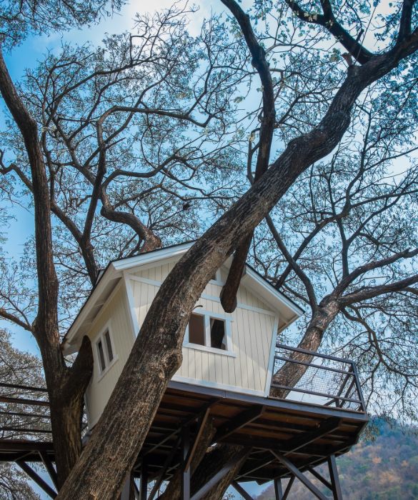 <p>&Egrave; il sogno di bambine e bambine: costruire una casa sull'albero. Vivere in una casetta sull&rsquo;albero, o almeno dormirci e cercarvi rifugio e relax almeno per una notte &egrave; uno di quei desideri che tutte abbiamo nutrito almeno una volta nella vita. E che oggi &egrave; possibile realizzare grazie alle tante proposte di ricettivit&agrave; e di case sull'albero in Italia che si moltiplicano e si affiancano alle tante case sull'<a href=
