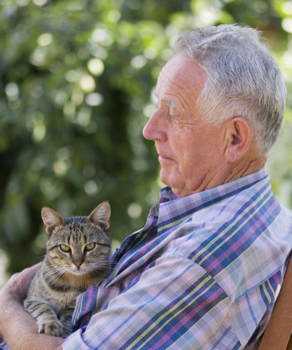 <p>Il gatto pi&ugrave; vecchio mai vissuto al mondo, quando &egrave; morto aveva ben 38 anni e 3 giorni. Creme Puff, nato il 3 agosto 1967, visse fino al 6 agosto 2005. Il suo proprietario possedeva un altro gatto molto longevo: Rex Allen, morto a 34 anni.</p>