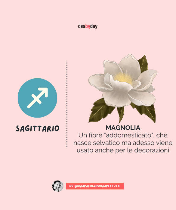 <p>&Egrave; un fiore "addomesticato", che nasce selvatico ma adesso viene usato anche per le decorazioni.</p>

