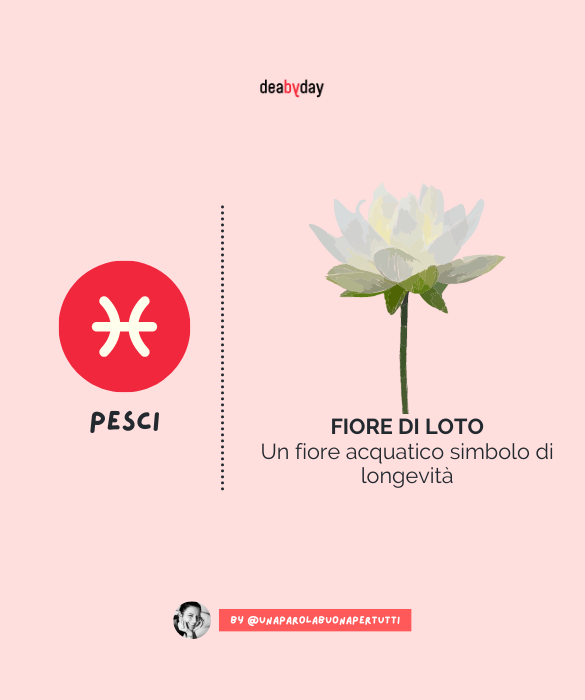 <p>Un fiore acquatico simbolo di longevit&agrave;.</p>
