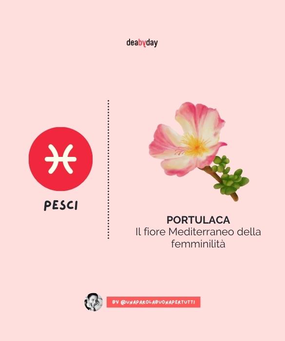 <p>Il fiore Mediterraneo della femminilit&agrave;.</p>
