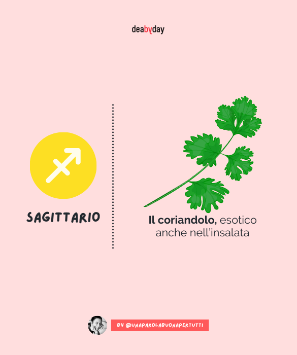 <p>Il coriandolo, esotico anche nell&rsquo;insalata</p>
