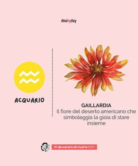 <p>Il fiore del deserto americano che simboleggia la gioia di stare insieme.</p>
<p>&nbsp;</p>
