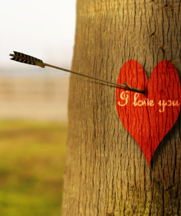 <p>Buon compleanno principessa,</p>
<p>Andiamo incontro alla vecchiaia e lo facciamo insieme.</p>
<p>Noi pensiamo allo stesso modo. Leggiamo le nostre menti. Sappiamo ci&ograve; che l&rsquo;altro vuole senza chiedere. A volte ci irritiamo un po&rsquo; l&rsquo;un l&rsquo;altro. Altre volte, forse, ci diamo per scontati. Ma di tanto in tanto, come oggi, penso a tutto questo e mi rendo conto di quanto sono fortunato a condividere la mia vita con la pi&ugrave; grande donna che abbia mai incontrato. Sai ancora affascinare e mi ispiri. Mi incoraggi al meglio. Sei l&rsquo;oggetto dei miei desideri, la prima ragione della mia esistenza sulla Terra.</p>
<p>Ti amo molto.</p>
