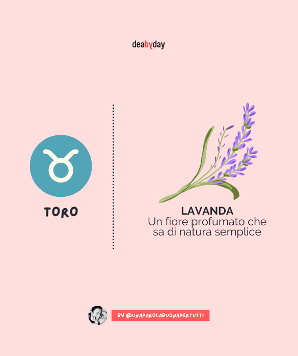 <p>Un fiore profumato che sa di natura semplice.&nbsp;</p>
