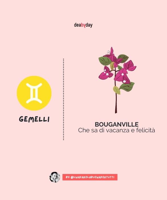 <p>.... che sa di vacanza e felicit&agrave;.</p>
