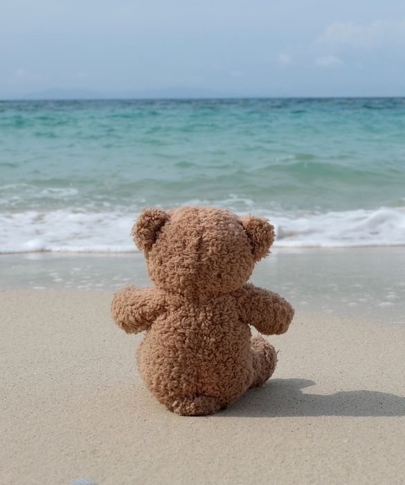 <p>Troppo indaffarati per poter andare in vacanza? Beh, c&rsquo;&egrave; chi fa viaggiare i propri giocattoli con il toy voyaging, che consiste proprio nello spedirli in vacanza. Basta consultare il sito <strong><a href=